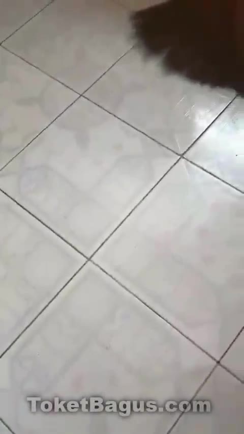 Kurir Paket Cod Dildo Malah Disuruh Praktekin Vk Terabox Simontok Indo Pemersatu