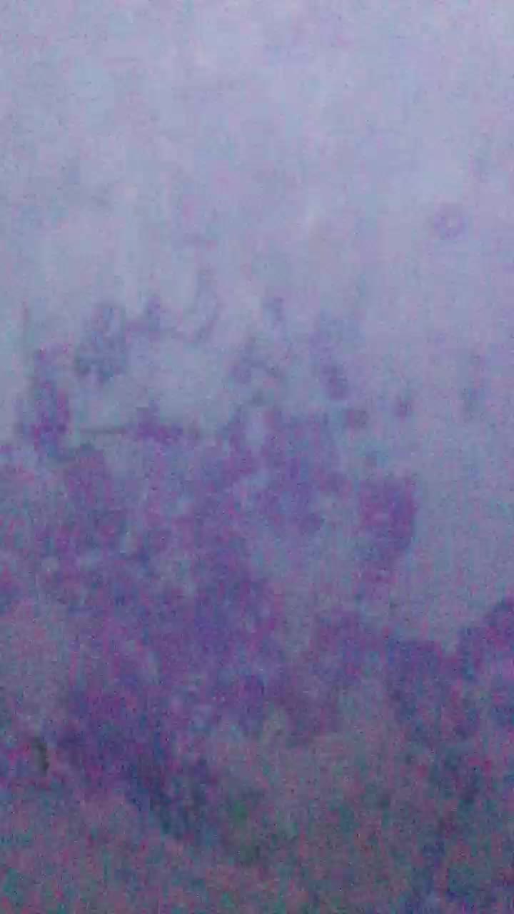 SiEneng Ukhti Binal