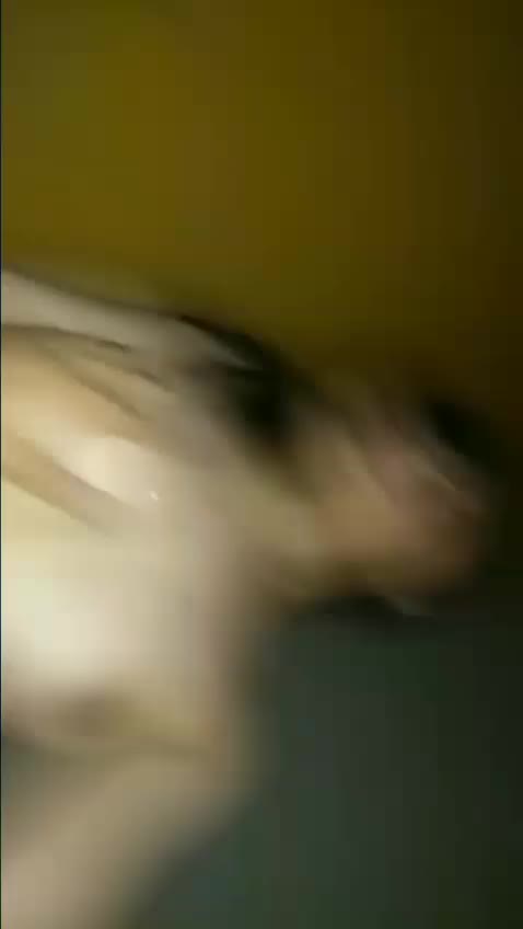 Desi Bokep Dood New Tiktok Bangsa Xpanas Jilbab Bebasindo Streaming Staklam Indo