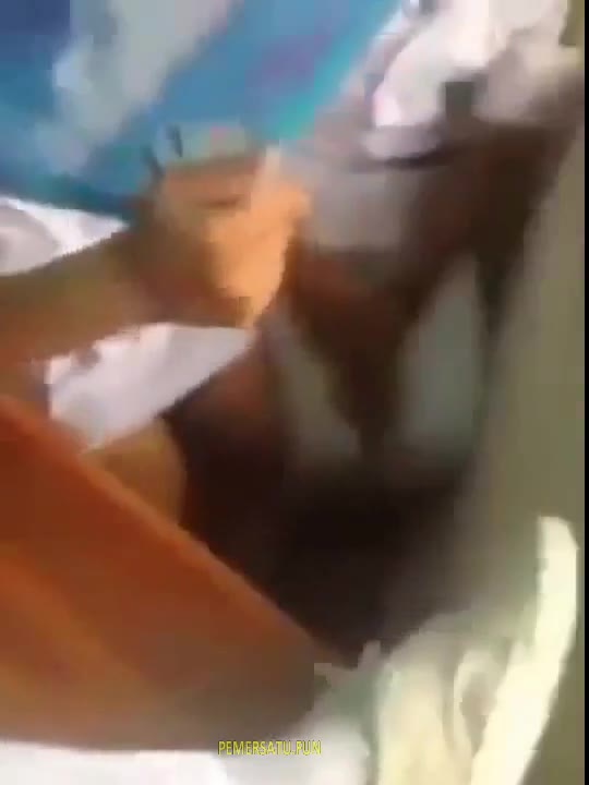 sma diremas remas payudaranya kesedapan (new) - 7h6ye8114qz0 - Bokep Indo - porno.bokepindo.com.co