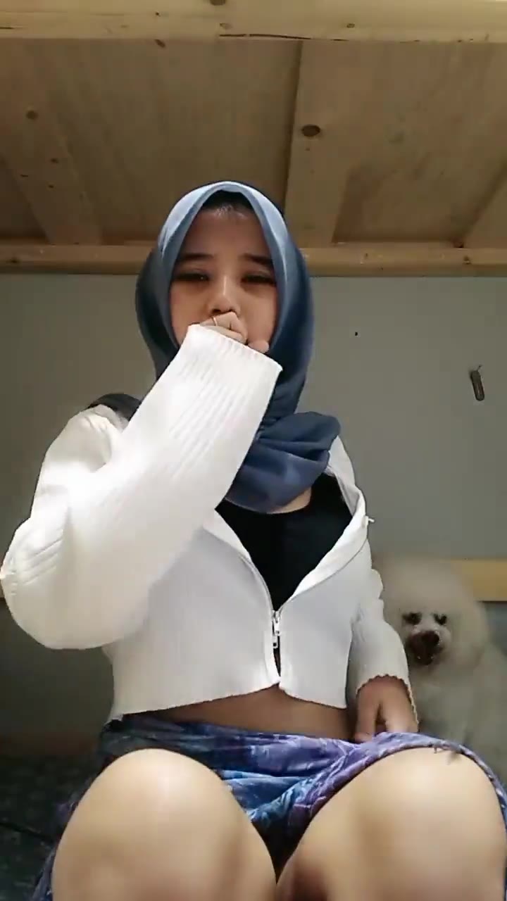 Telegram Kissmee Sotwe Ojol Bokep Video Terbaru Pemersatu Davis Dood Asupan Malam