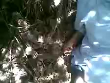 Watch Bokep Indo Jilbab SMA Main Di Hutan 224x168 - DoodStream - Bokep Indo - indo.bokep22.com