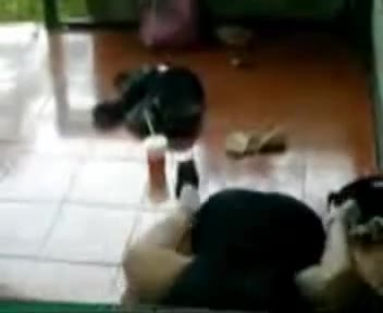 Watch 33 kegep - Bokep Indo - bokepindo.com.co
