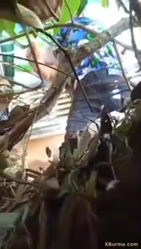 Ngintip Abg Ngentot di Semak2 - ve9793yry0qt - Bokep Indo - porno.bokepindo.com.co