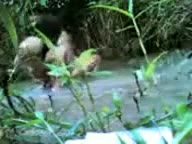 lagi mancing eh malah ketemu dua abg lagi ngentot(2023 06 07 17 48 26 661) - u1b2h7hpshw6 - Bokep Indo - porno.bokepindo.com.co