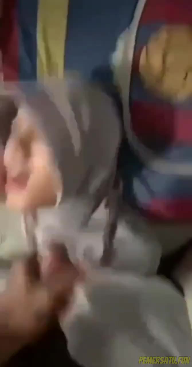 jilbab abu cantik viral banyak videonya (10) - 87ol4wqza61t - Bokep Indo - doooood.co