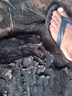 Viral Abg Di Gangbang Di Pesisir Pantai - qkwlweqqyqdx - Bokep Indo - porno.bokepindo.com.co