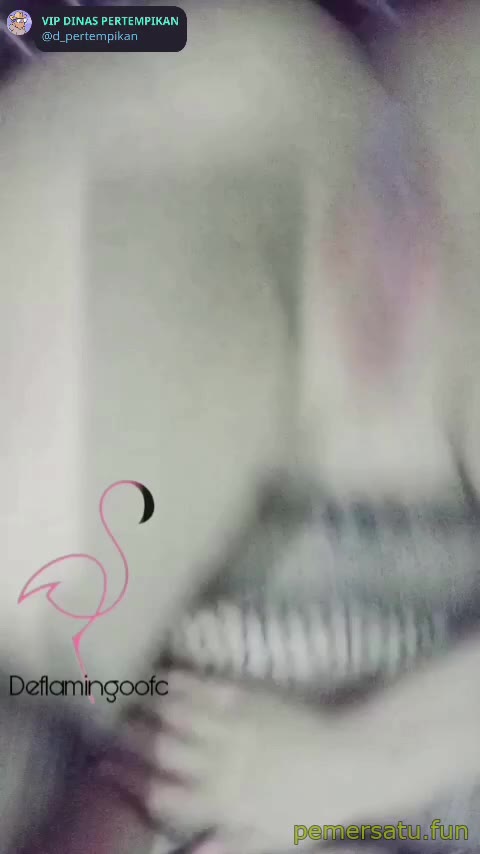 jilbab hitam gemoy toket brutal (5) - px3zujj0i2w6 - Bokep Indo - porno.bokepindo.com.co