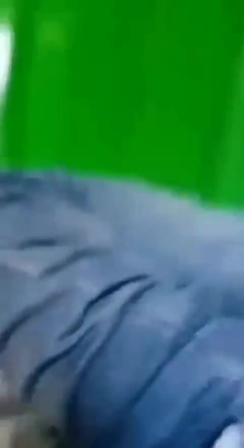 Mahasiswi Unand Ngewe Di Masjid Cilbo Smp Bokep Viral Ojol Dodstream Doodflix