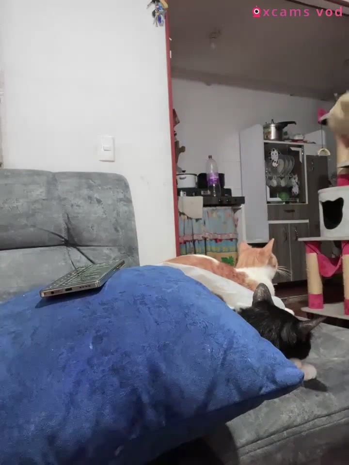 Bonnie_willliams19 camshow