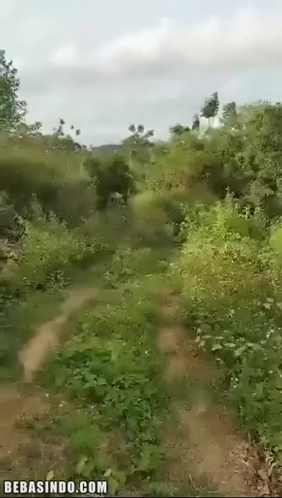 Bokep Terbaru Ngentot Adik Teman Di Tempat Poophd Staklam Doods Vk Streaming