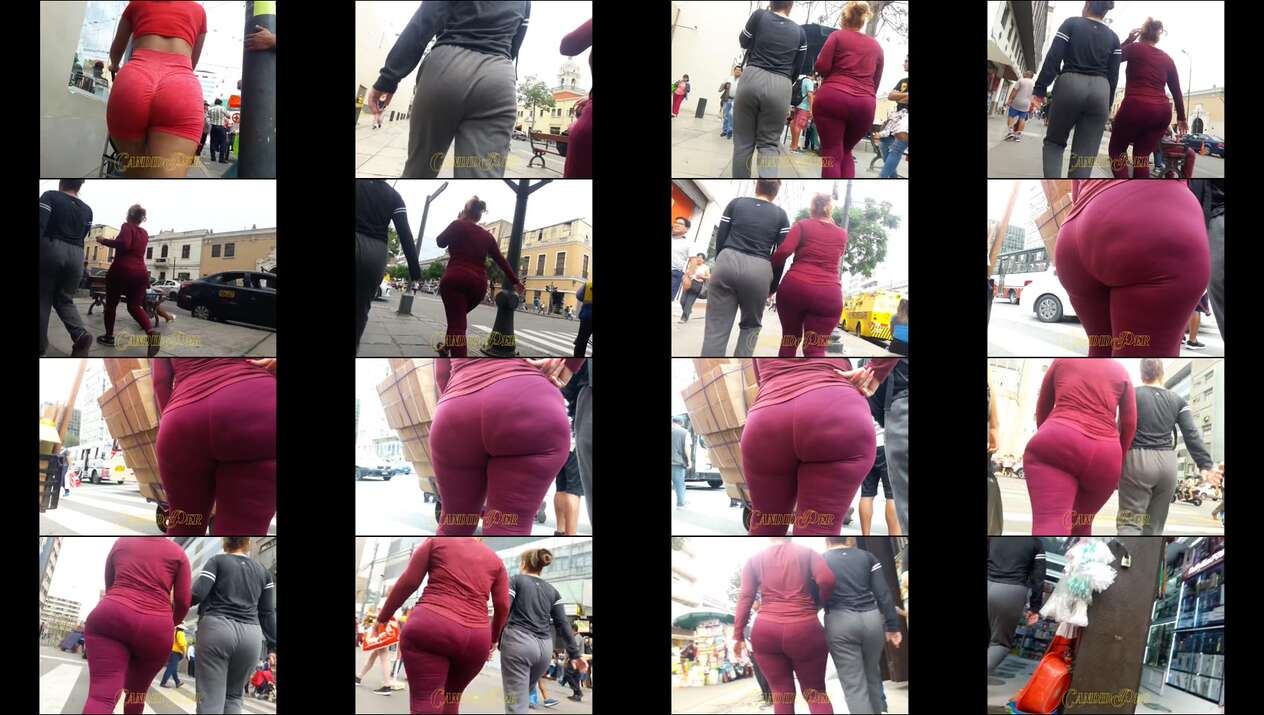 november 2023 the candid forum videos