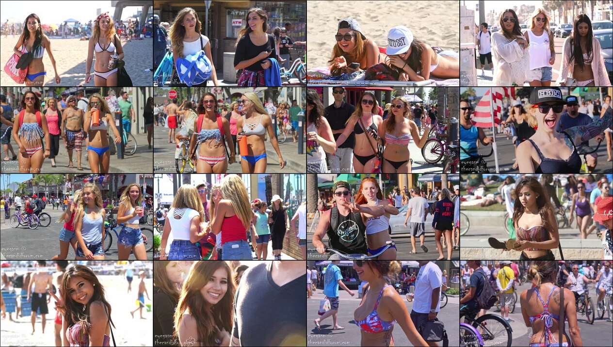 august 2023 the candid forum videos
