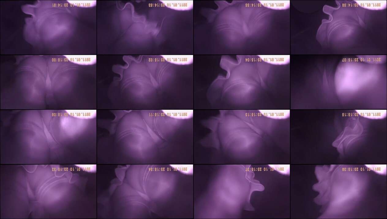 retro voyeur clips vol.5