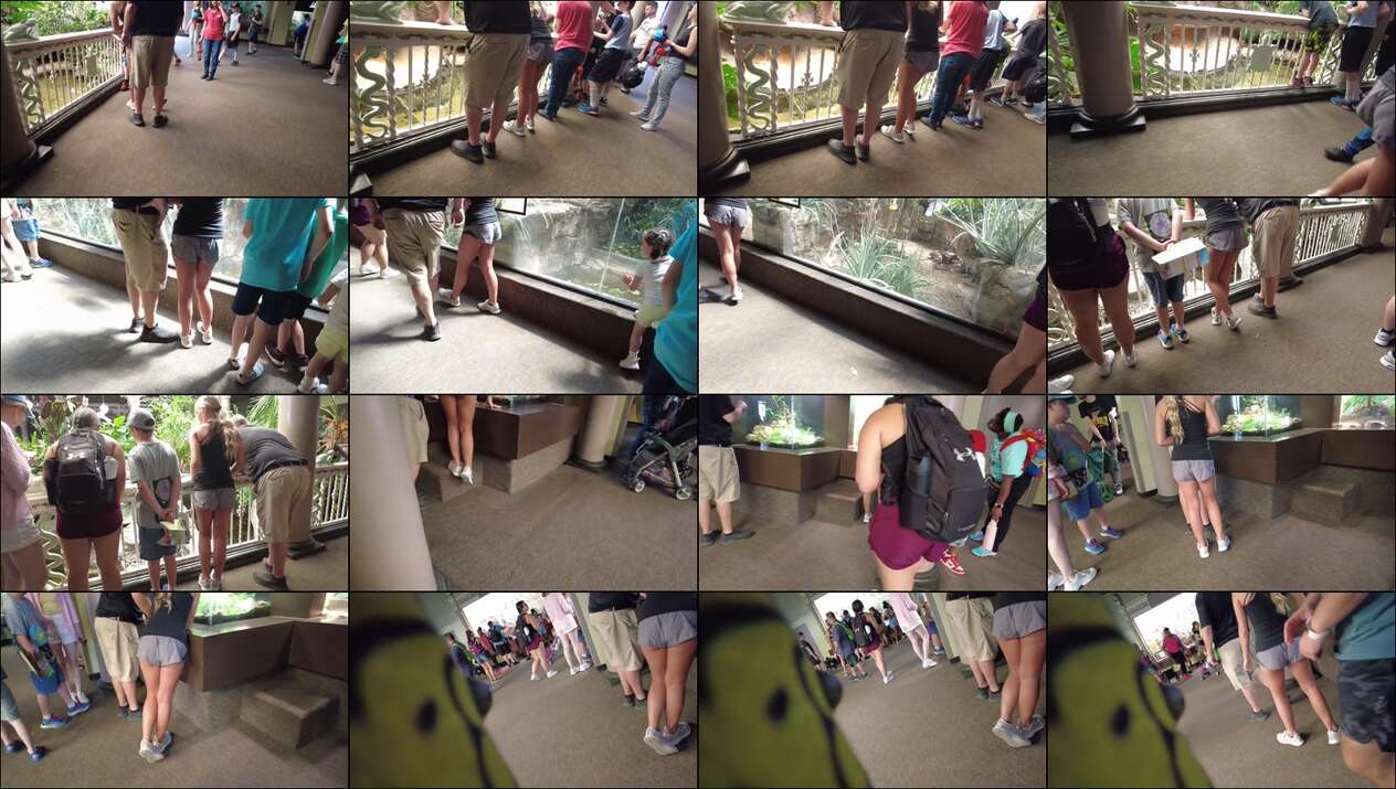 june 2023 the candid forum videos