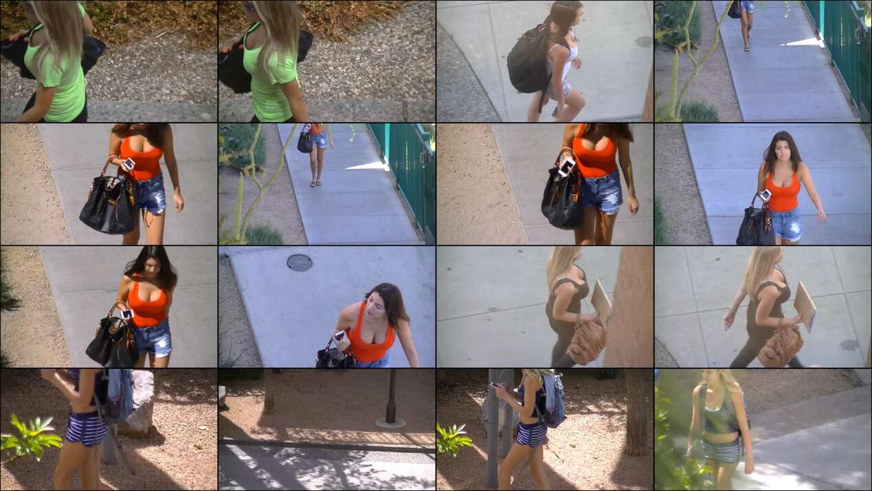 peepingtom vol.11