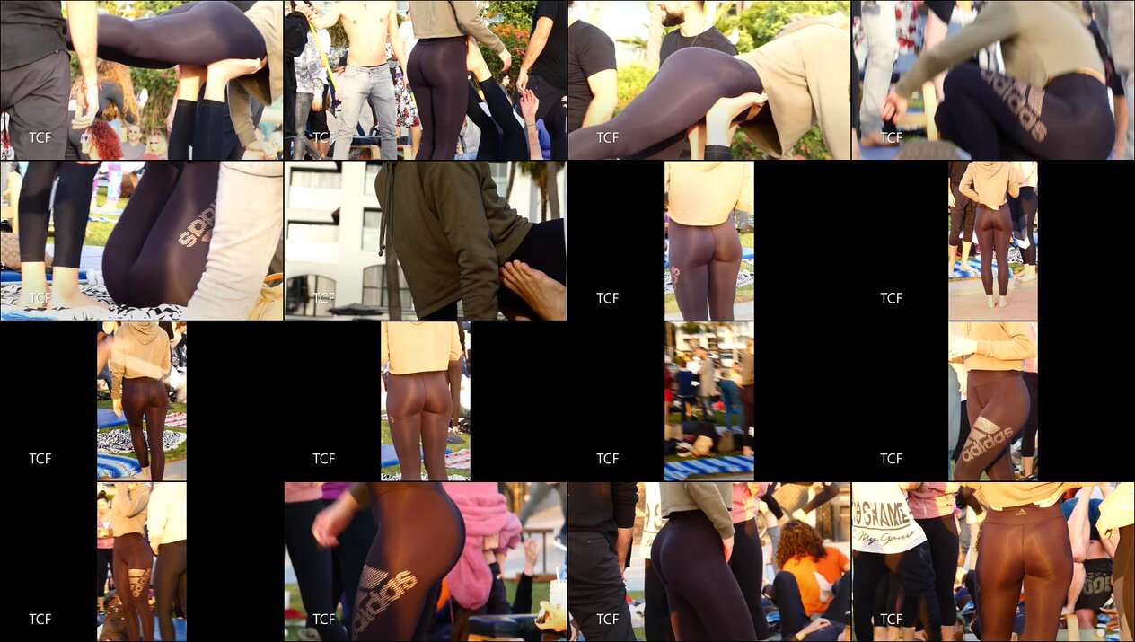 november 2023 the candid forum videos