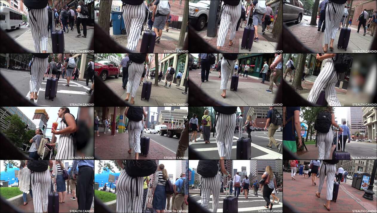 august 2023 the candid forum videos