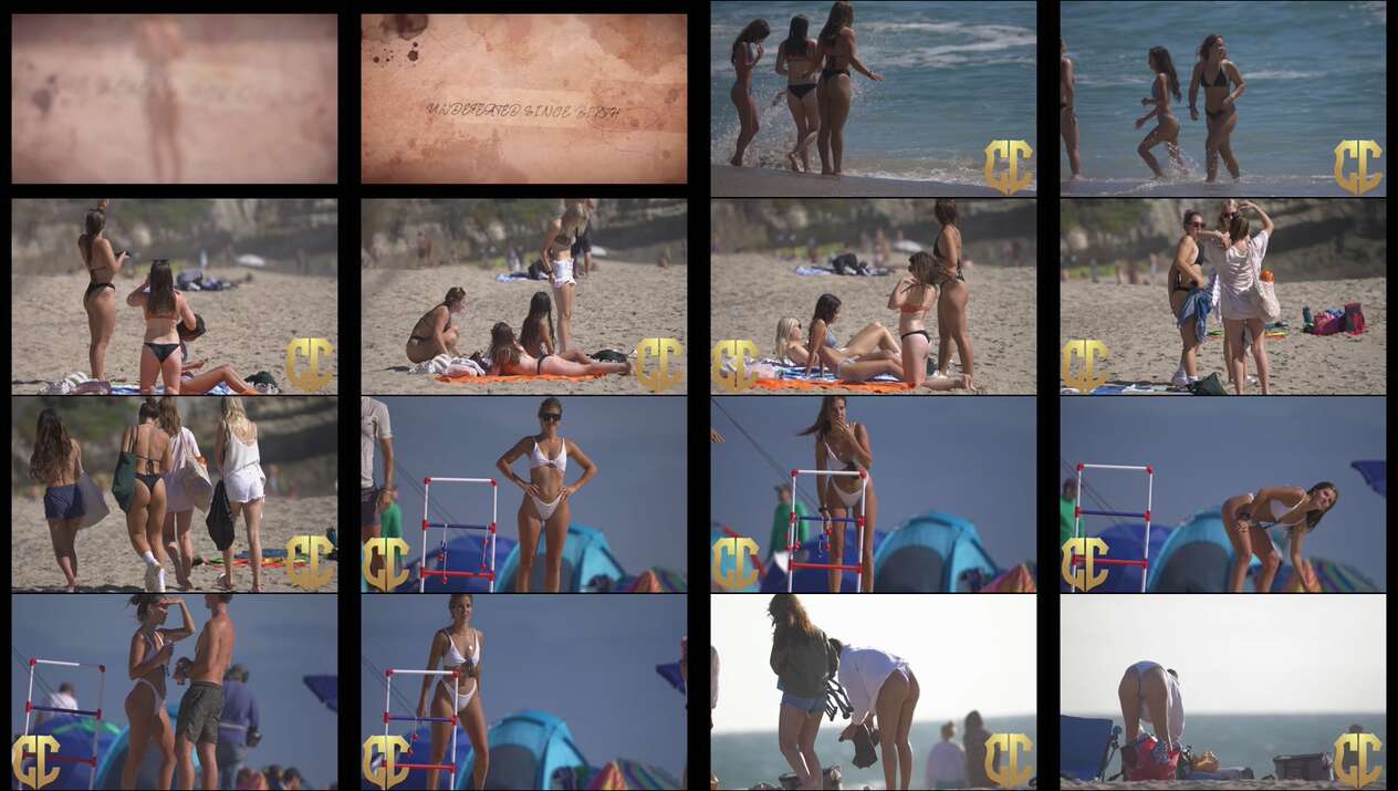 july 2023 the candid forum videos