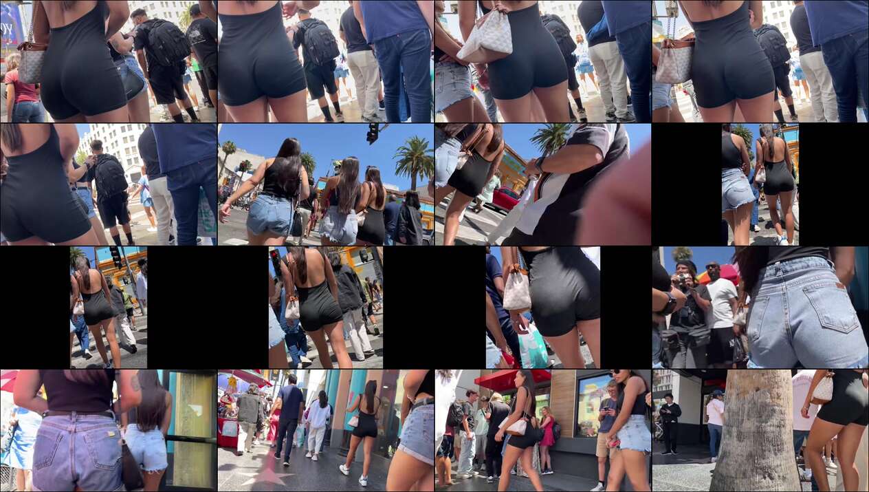 august 2024 the candid forum videos