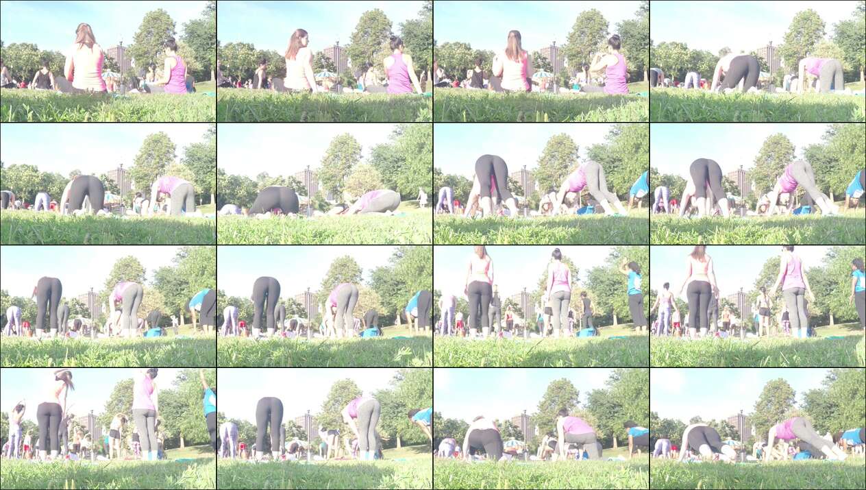 public street ass collection from tcf and toc