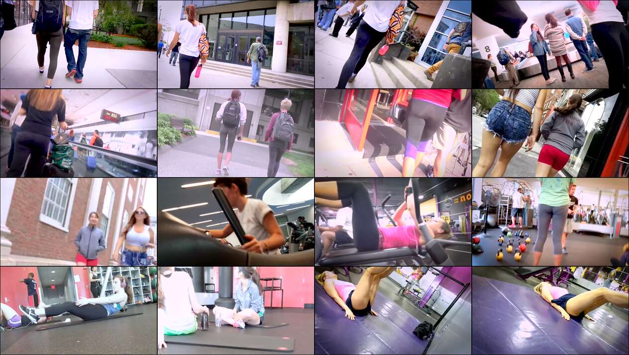 public street ass collection from tcf and toc