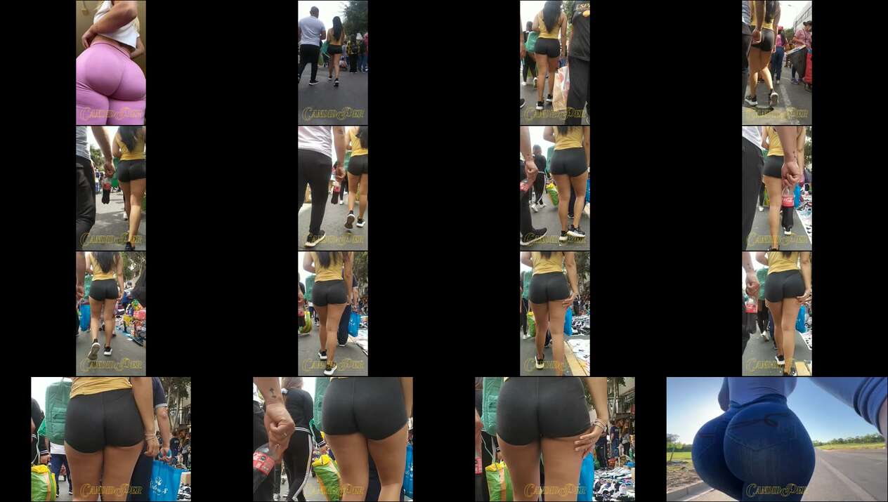 august 2023 the candid forum videos