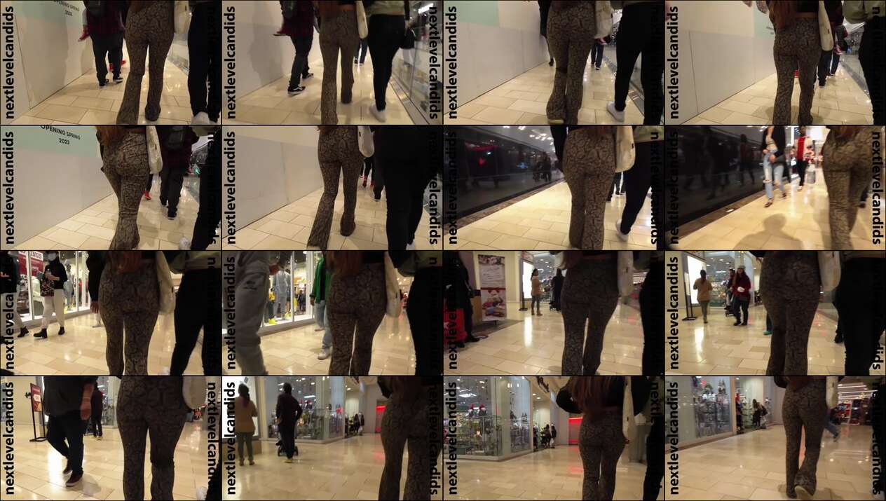 july 2023 the candid forum videos