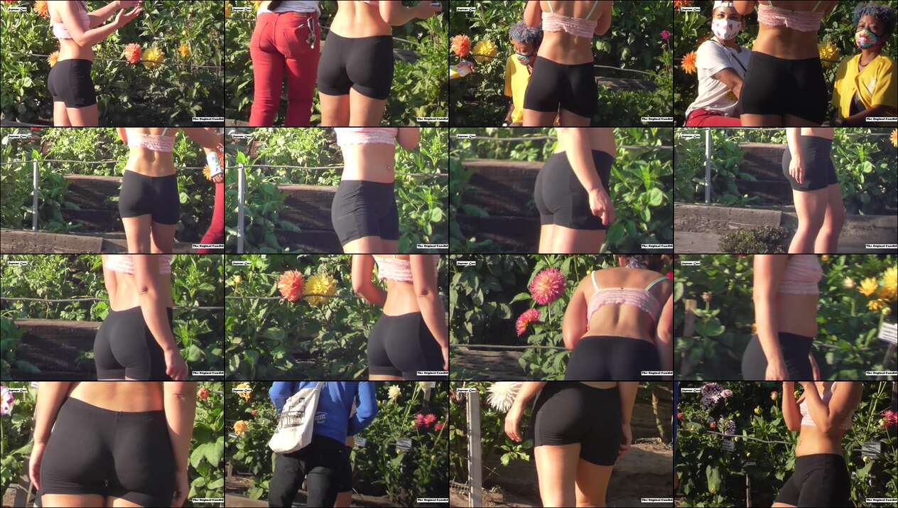 the original candid videos