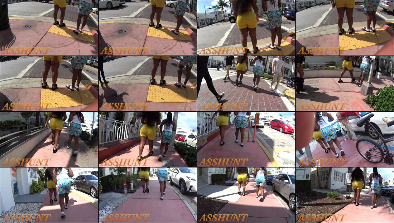 ass hunt candid videos