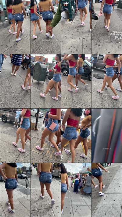 candidbull videos