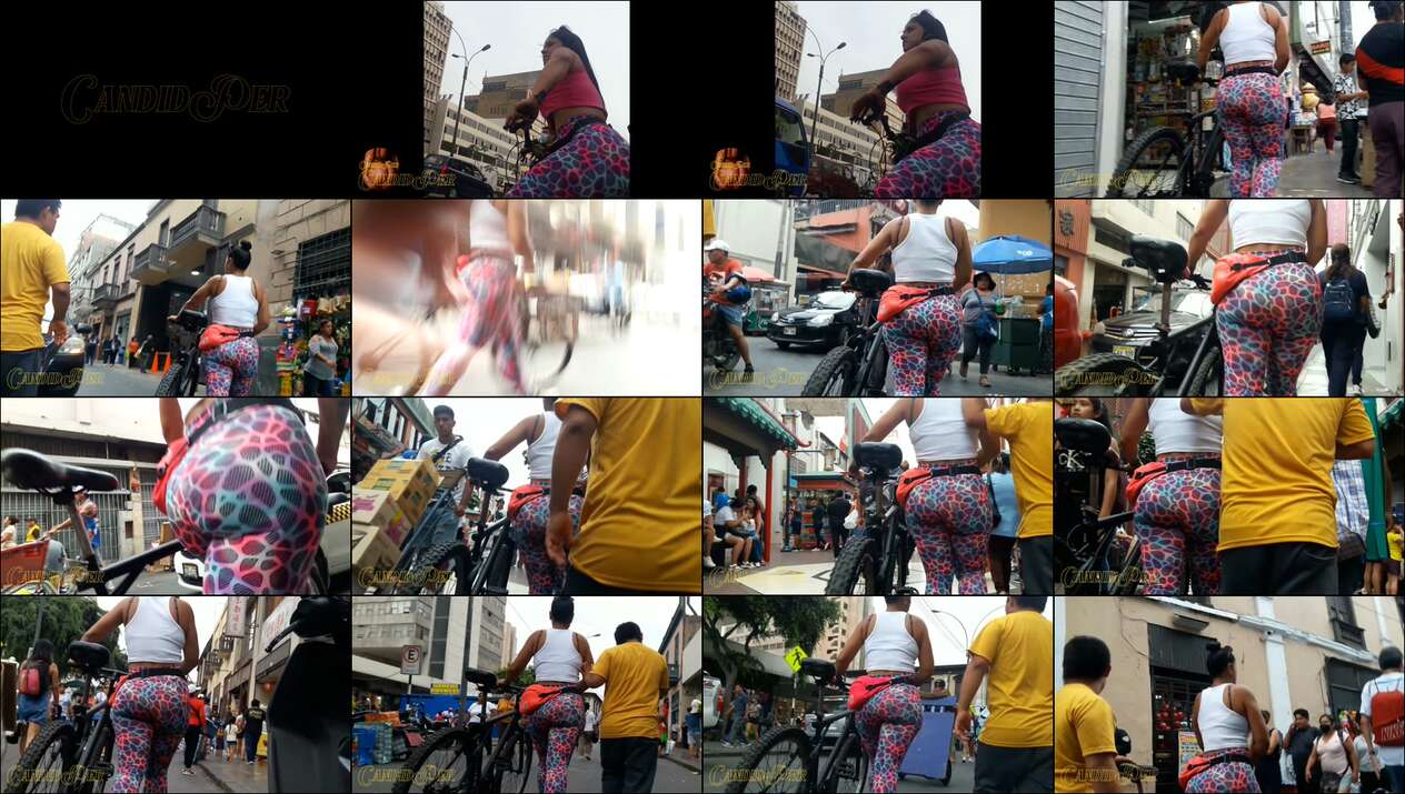 august 2023 the candid forum videos
