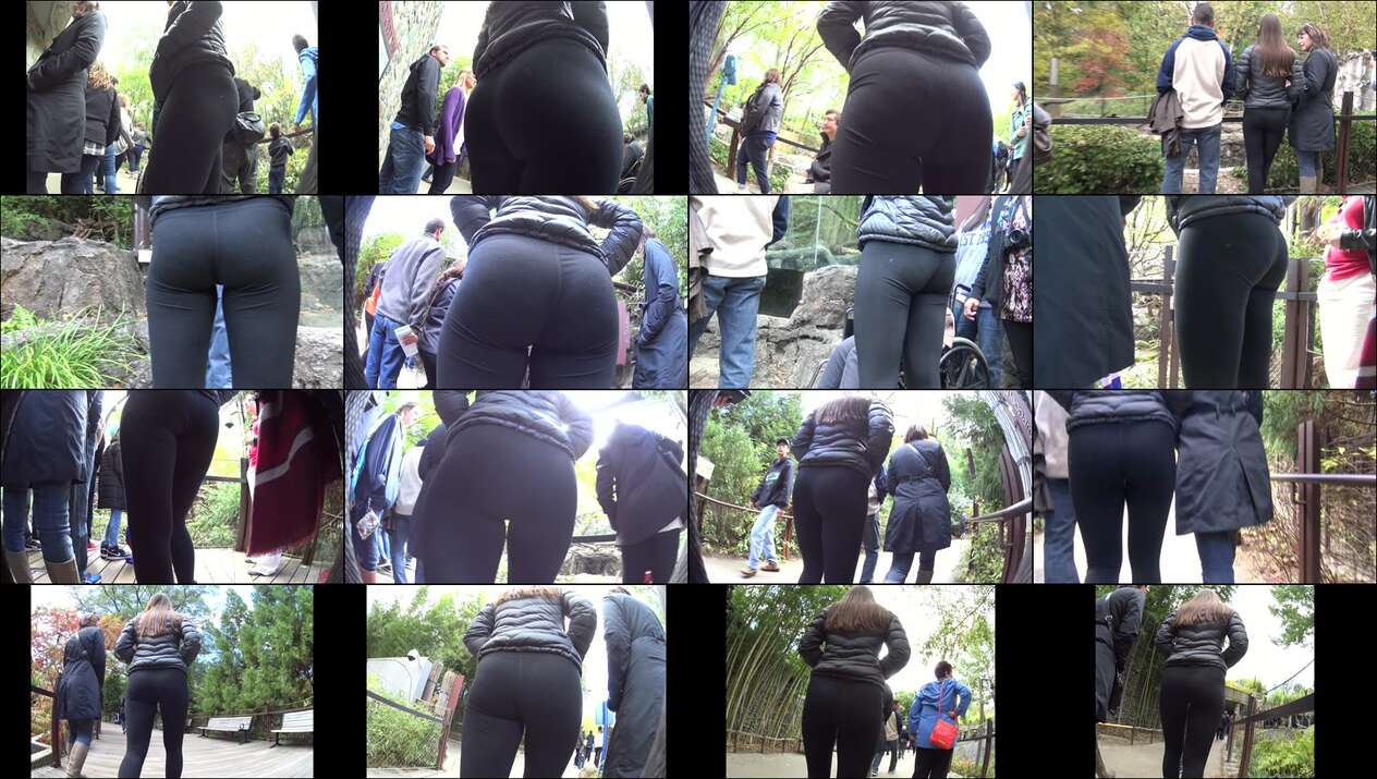 peepingtom vol.12