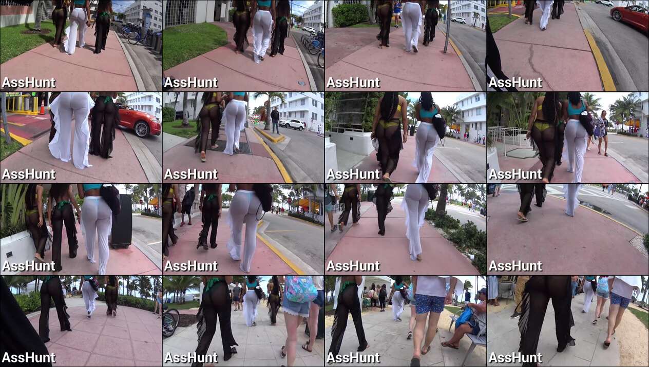 ass hunt candid videos