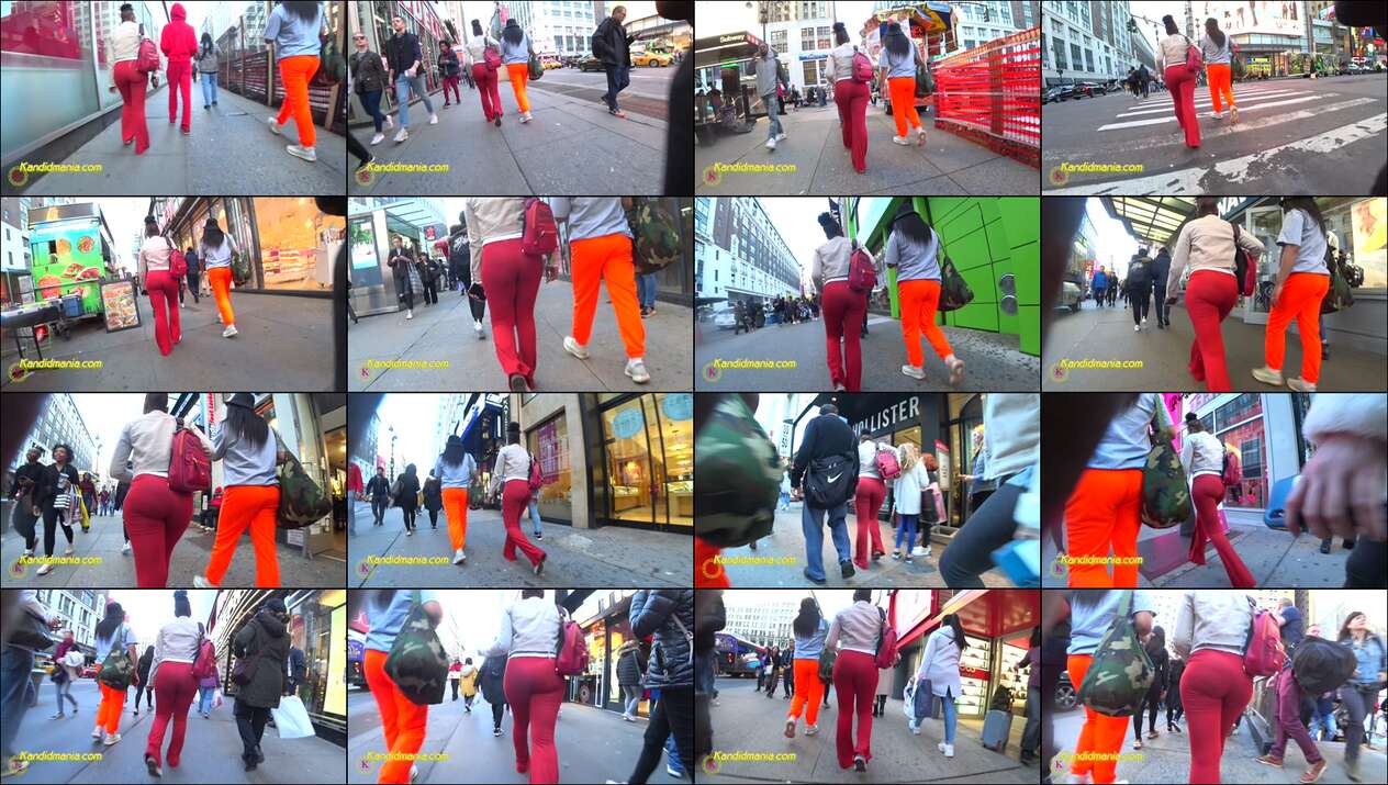 january 2025 the candid forum videos