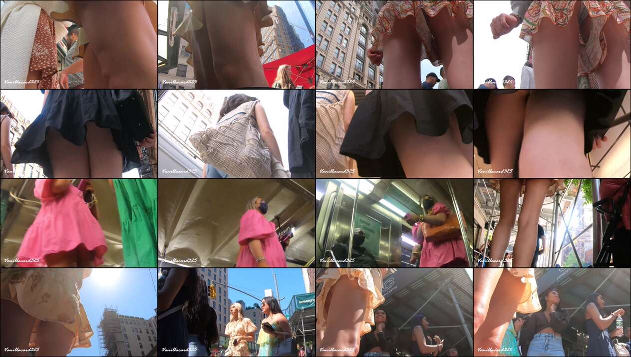 november 2022 the candid forum videos