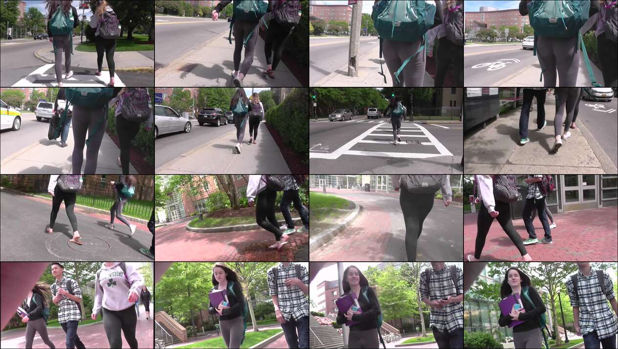 public street ass collection from tcf and toc