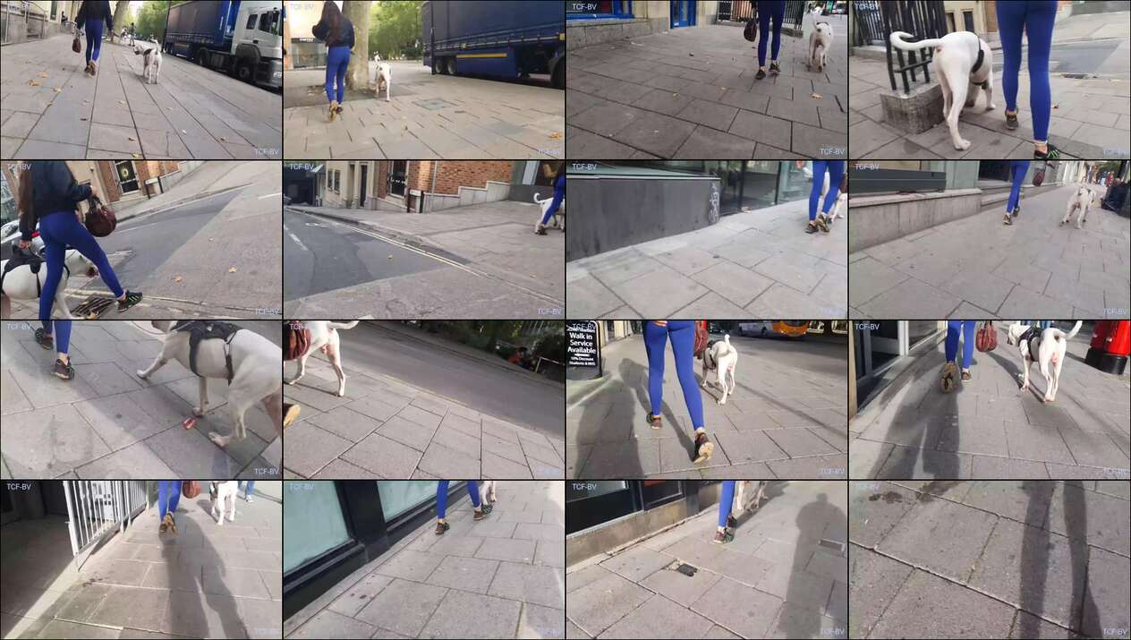 may 2020 the candid forum videos