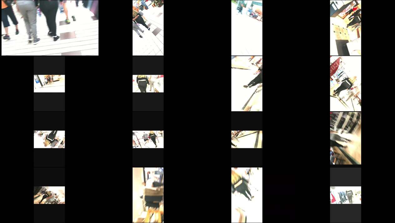 october 2023 the candid forum videos