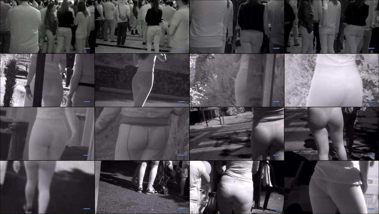 august 2023 the candid forum videos