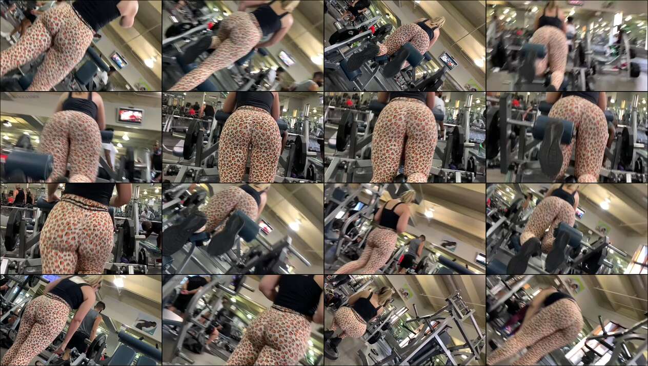 bleebang videos