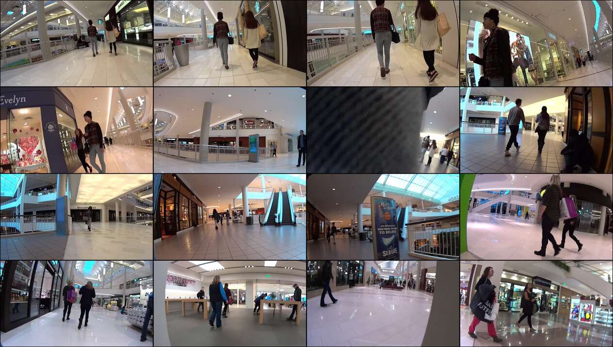 october 2023 the candid forum videos